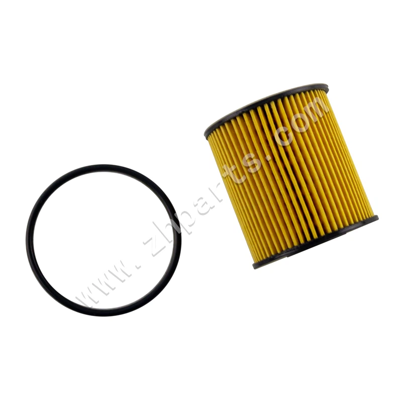 Oliefilter hærdet filter 1016051591 til Peugeot 206 C-QUATRE